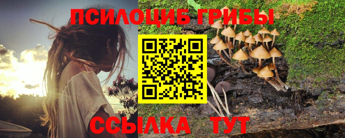 купить   Галлюциногенные грибы Magic Shrooms  Вход с VPN  Качканар 